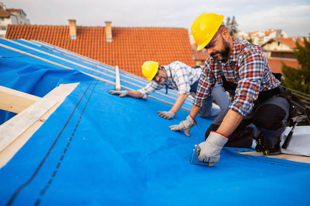 Best Roof Ventilation Installation  in Evart, MI